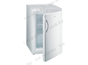 Холодильник Gorenje F4091ANW (598138, ZOS09861) - Фото